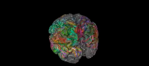 Νευροεπιστήμη και Ψυχολογία – Πέντε κοινοί μύθοι για τη συνειδητότητα