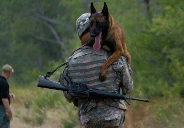 Προμήθεια 150 στρατιωτικών σκύλων με πολλές καταγγελίες για παρατυπίες!