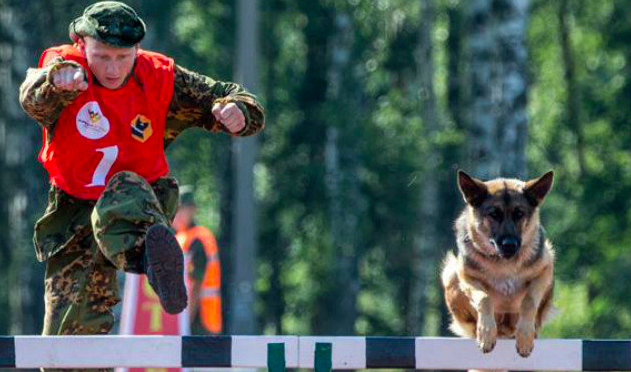 Αγώνες στρατιωτικών σκύλων στη Μόσχα! ΒΙΝΤΕΟ