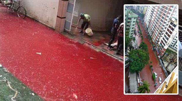 Ποιος Θεός θέλει τόσο αίμα; Απίστευτες φωτογραφίες με δρόμους πλημμυρισμένους με αίμα!