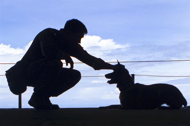 Ηχηρό ΣΤΟΠ στην προμήθεια 150 στρατιωτικών σκύλων!