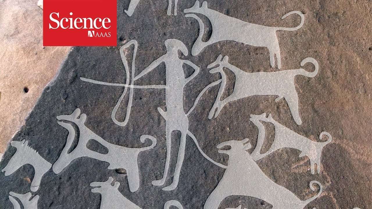 Ανακάλυψη: Σκύλοι κυνηγούσαν μαζί με ανθρώπους εδώ και 8.000 χρόνια!