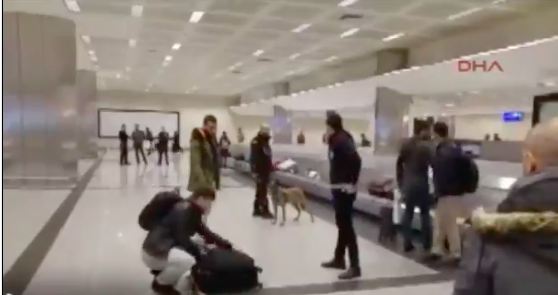 Απίστευτοι έλεγχοι με σκυλιά στα τουρκικά αεροδρόμια μόνο για Ολλανδούς!