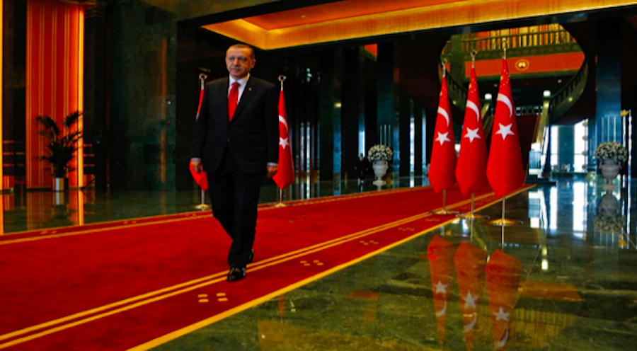 Ο Ερντογάν κάνει εκλογές για να σωθεί και να σώσει την οικογένειά του! Άρθρο της Λιάνας Μυστακίδου