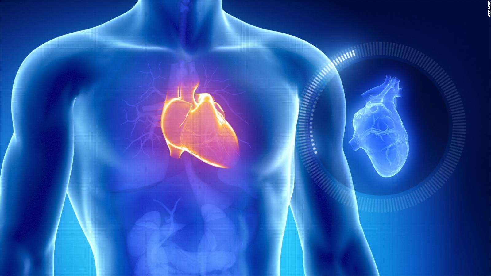 Δημιουργήθηκε ο πρώτος ώριμος ανθρώπινος καρδιακός μυς από βλαστοκύτταρα