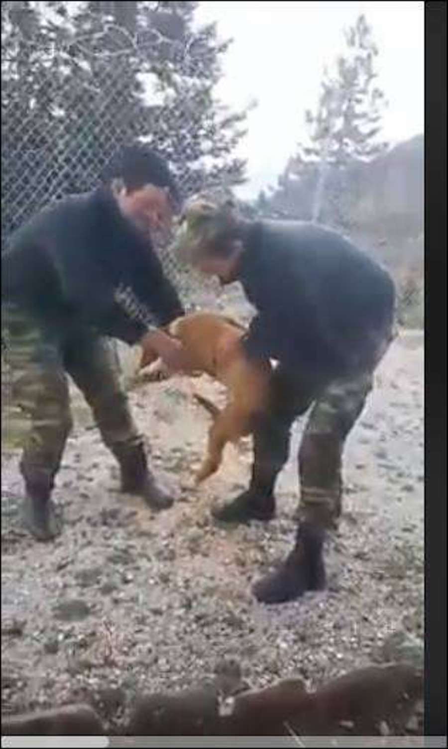 Ο Καμμένος ζήτησε από το ΓΕΣ να αποδοθούν ευθύνες για τη κακοποίηση σκύλου από στρατιώτες