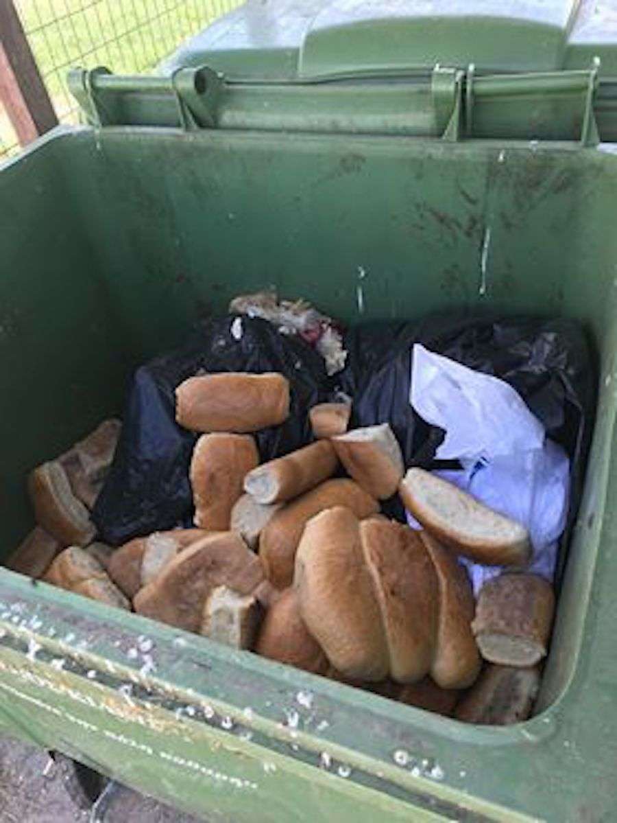 Πετάνε στα σκουπίδια το ψωμί αντί να το δώσουν στα συσσίτια! Φωτογραφίες
