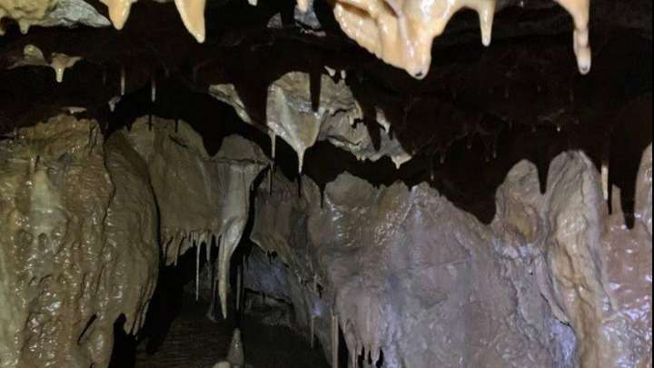 Σπήλαιο ηλικίας εκατομμυρίων ετών ανακαλύφθηκε στην Βόρεια Ρηνανία
