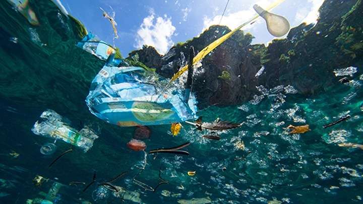 Το 50% των απορριμάτων στις θάλασσες μας είναι κουτιά αλουμινίου,πλαστικά μπουκάλια και σακκούλες