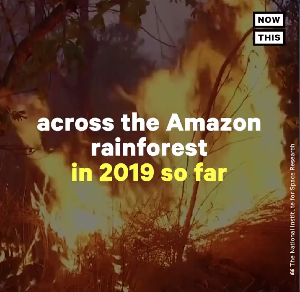 Ο Αμαζόνιος καίγεται και ο Μπολσονάρου τα ρίχνει στις ΜΚΟ
