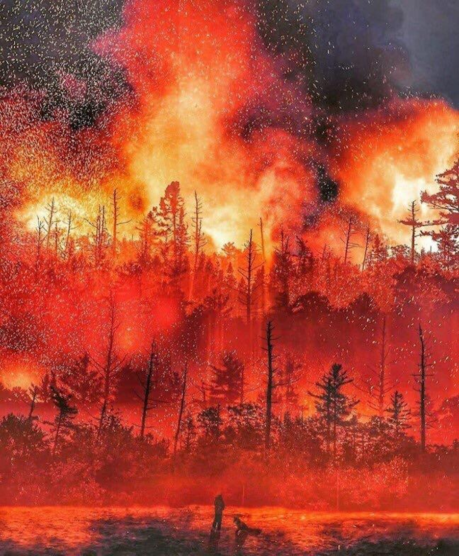 Αμζόνιος: Ο πνεύμονας του πλανήτη εξακολουθεί να καίγεται χωρίς καμία αντίδραση