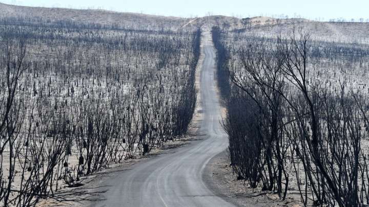 Αυστραλία πυρκαγιές: Έχει καεί έκταση ίση με το 1/3 της Ελλάδας