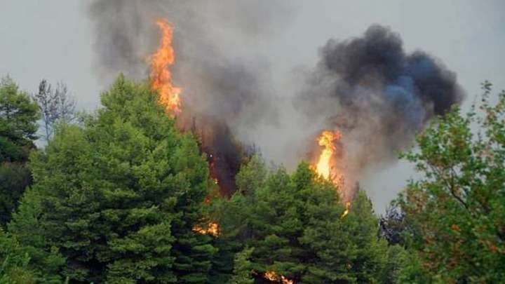 Φωτιά στην Αταλάντη, απειλούνται σπίτια