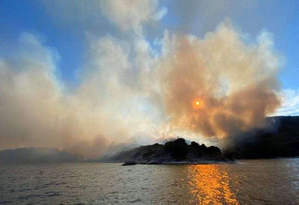 Το ΕΠΑΜ με ανακοίνωση του ζητά εισαγγελική έρευνα για τη φωτιά στον Ερημίτη