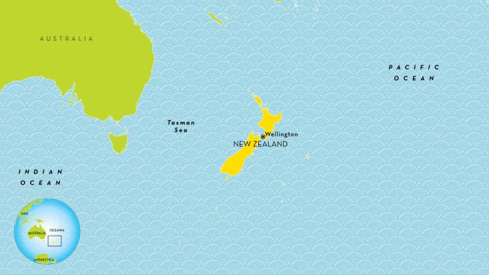 Νέα Ζηλανδία: Περίπου 100 φάλαινες νεκρές στα απομονωμένα νησιά Κάθαμ