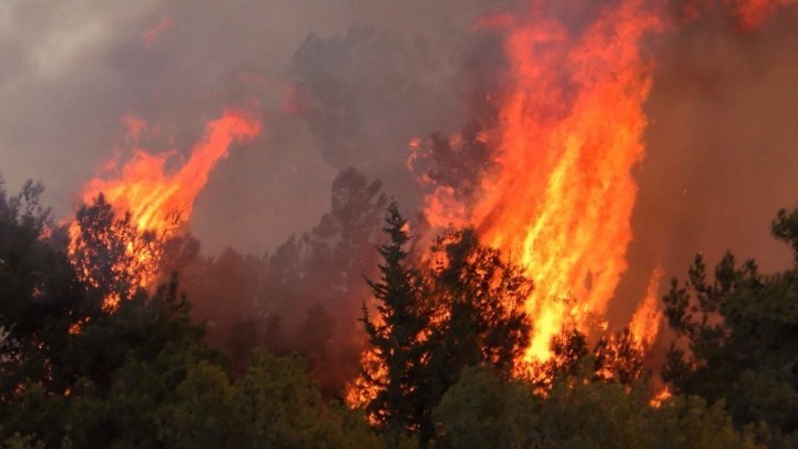 Πύρινα μέτωπα και εκκενώσεις οικισμών! Η Ελλάδα διανύει το χειρότερο εξάμηνο καταστροφών από φωτιές!