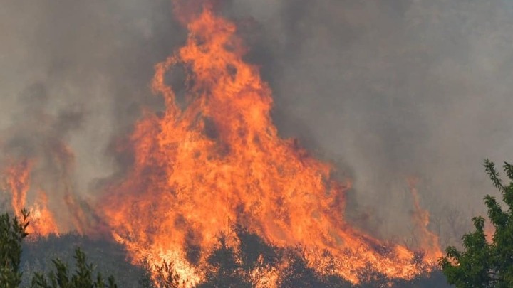 Φωτιά στη νότια Εύβοια έστειλαν μήνυμα εκκένωσης