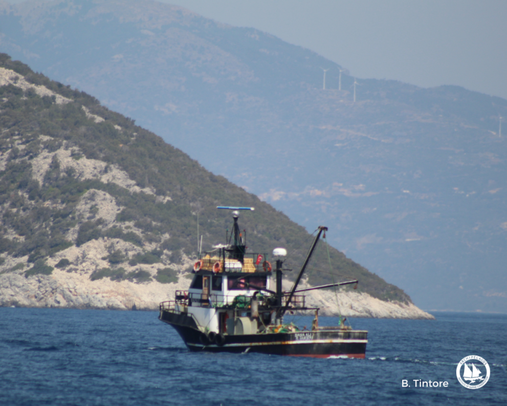 Οι Τούρκοι ψαρεύουν σε ελληνικά νερά!