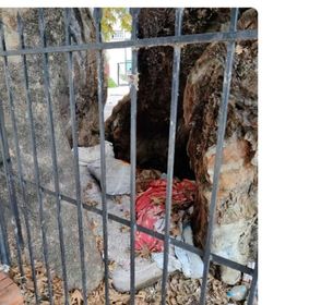 Κομοτηνή: Άστεγος ζει σε κορμό δέντρου