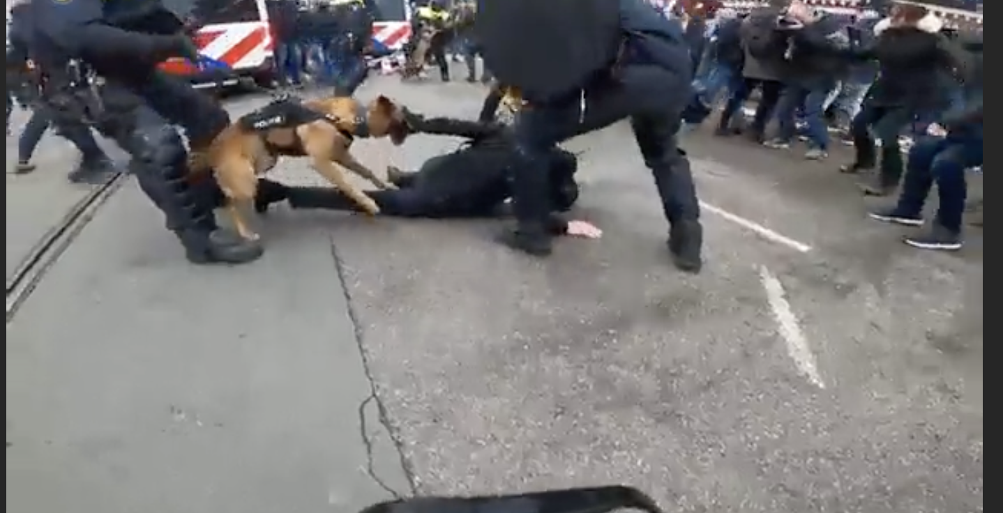 Ολλανδία: Άγρια επίθεση της αστυνομίας σε διαδήλωση κατά των μέτρων για την Covid! Βίντεο