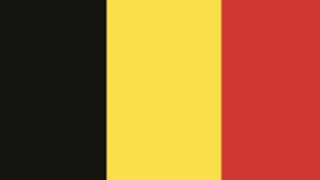 Βέλγιο: Αυτοκίνητο έπεσε πάνω σε πλήθος, νεκροί και τραυματίες