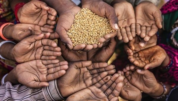 Η επισιτιστική κρίση απειλεί τον πλανήτη