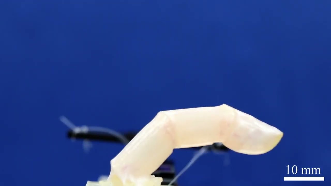 Ζωντανό ανθρώπινο δέρμα για ρομπότ, δημιούργησαν Ιάπωνες ερευνητές