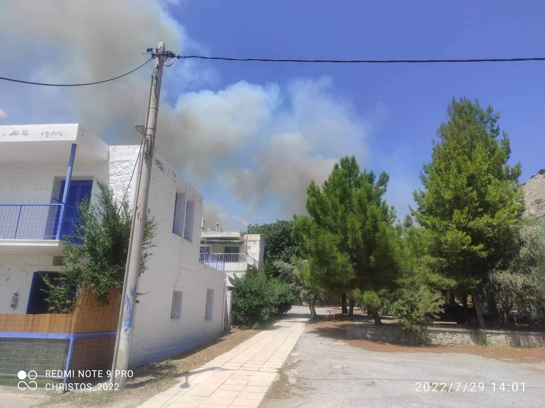 Μάχη με τις φλόγες 1 χιλιόμετρο από το Δίστομο - Βίντεο
