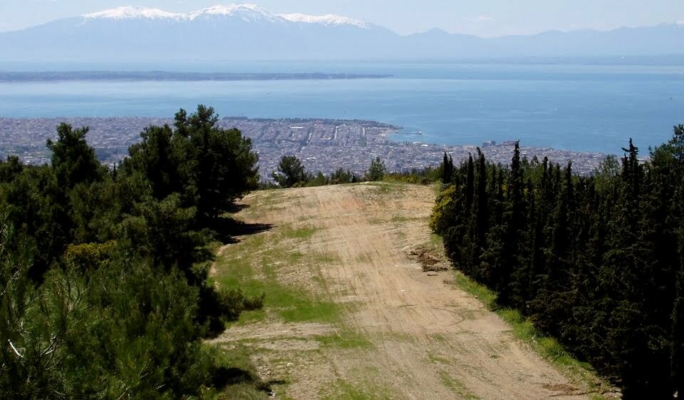 Θεσσαλονίκη: Σε εξέλιξη οι εργασίες καθαρισμού στο δάσος του Σέιχ – Σου – Συνεχίζονται και οι αποκαταστάσεις δασικών δρόμων