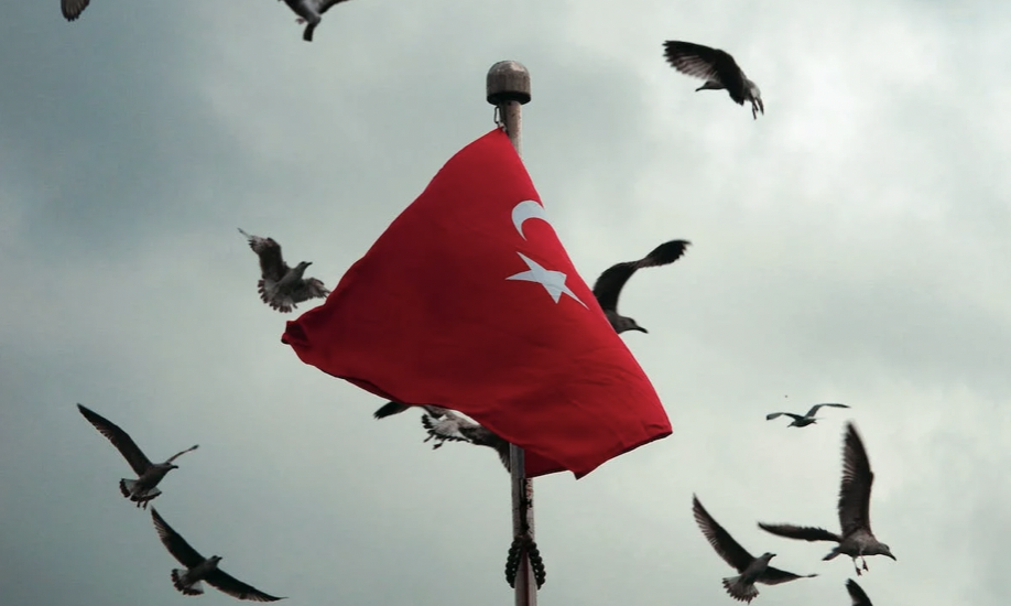 Τουρκία: Αναβλήθηκε εκ νέου η δίκη του αντιπροσώπου των Δημοσιογράφων χωρίς Σύνορα