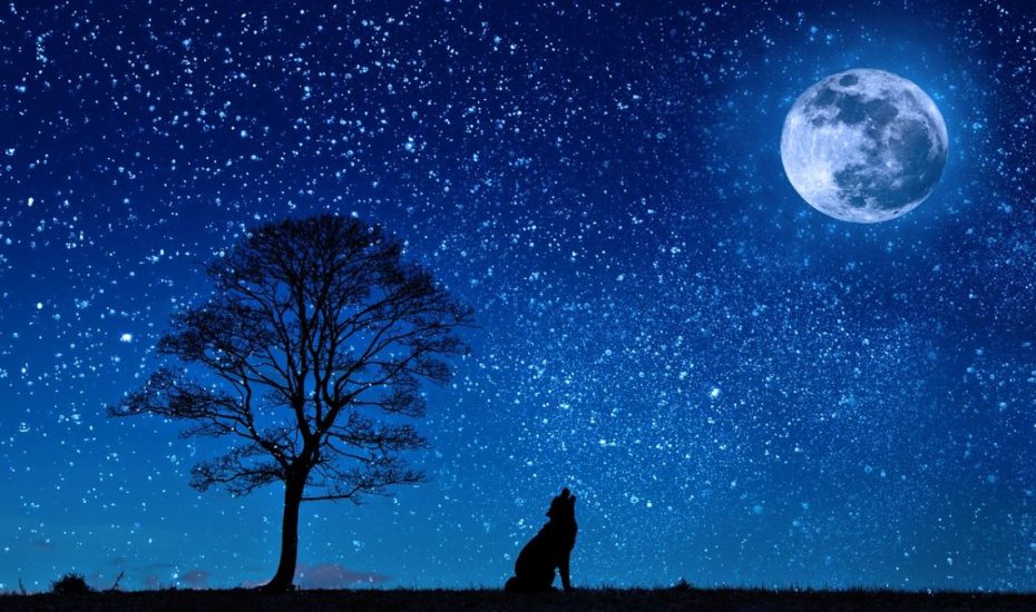Πανσέληνος Ιανουαρίου 2023: Πότε είναι το φεγγάρι του Λύκου και της Χήνας