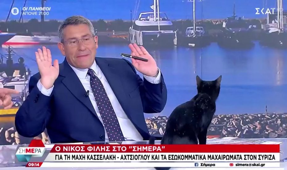 Μαύρη γάτα on air στο στούντιο του ΣΚΑΪ - Διάλεξε Παυλόπουλο αντί Φίλη (βίντεο)