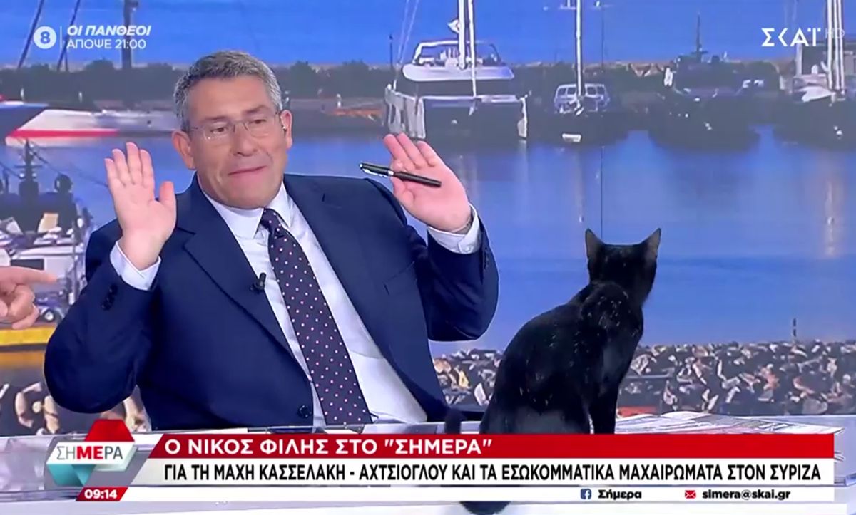 Μαύρη γάτα on air στο στούντιο του ΣΚΑΪ - Διάλεξε Παυλόπουλο αντί Φίλη (βίντεο)
