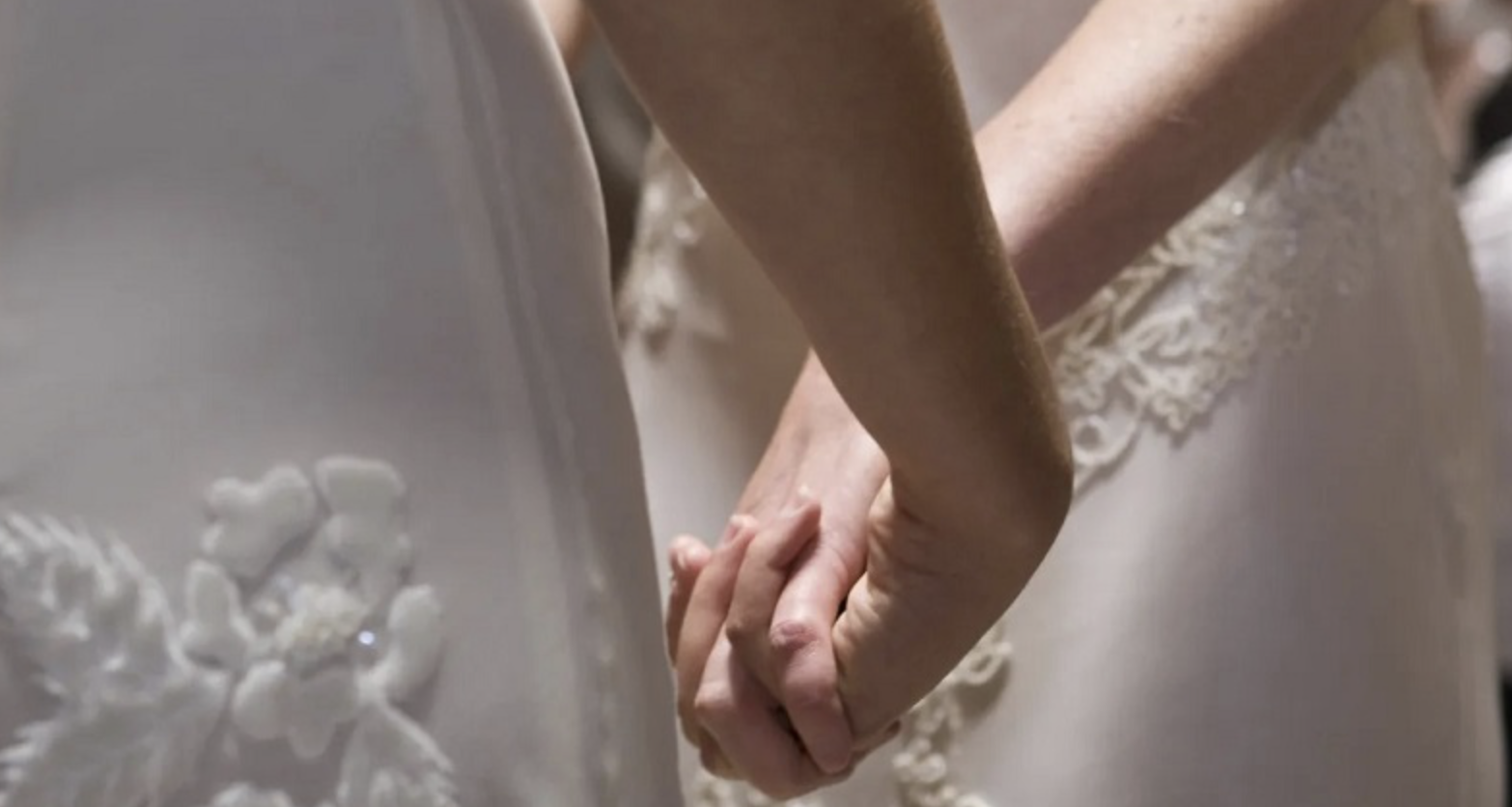 Χειριστική δημοσκόπηση – πάσα στην κυβέρνηση για γάμο και τεκνοθεσία ομόφυλων-Λεωνίδας Βατικιώτης